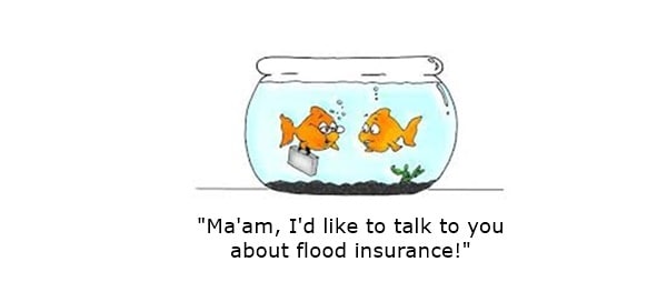 Help! My Insurance Company Doesn't Use Humor! - Covideo